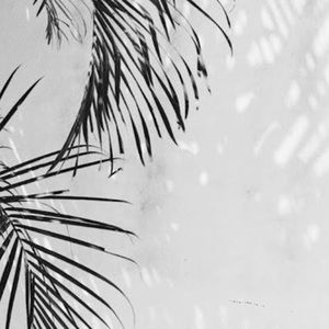 Meet your Posher, Fernanda